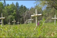 0802graves
